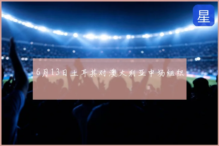6月13日土耳其对澳大利亚中场组织